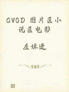 QVOD 图片区小说区电影